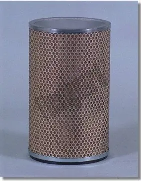 Zamów teraz Filtr powietrza wtórnego FLEETGUARD AF4746