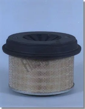 Bezpieczna płatność Filtr powietrza FLEETGUARD AF977