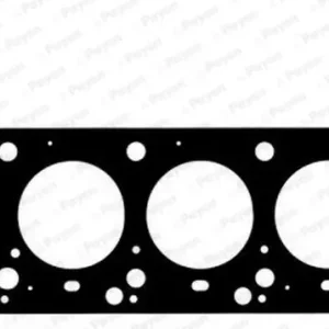 Wysoka jakość Uszczelka, głowica cylindrów PAYEN AG8400